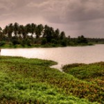 Bhima Baharani Lake view