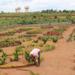 Manya Enclave Vijayanagar IV stage Garden