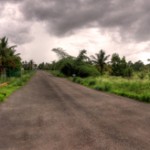 BHIMA Pama Enclave Road View