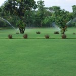 Skytop Golf Village Garden View