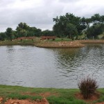 Skytop Golf Village Pond View